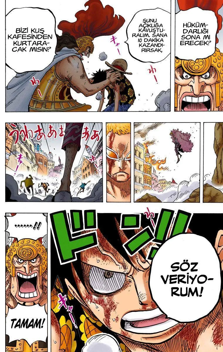 One Piece [Renkli] - Sayfa 14