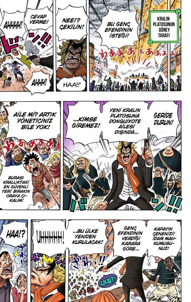 One Piece [Renkli] - Sayfa 13