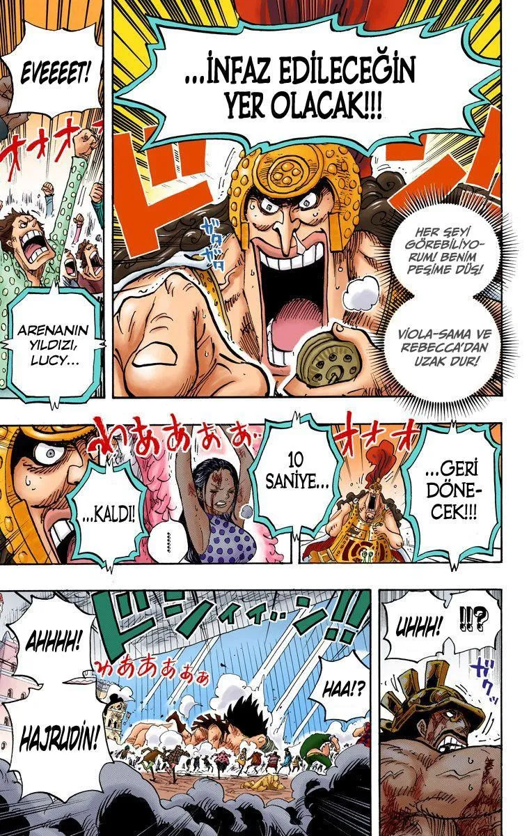 One Piece [Renkli] - Sayfa 14