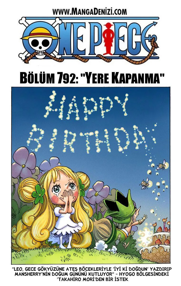 One Piece [Renkli] - Sayfa 2