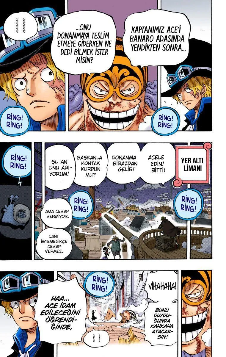 One Piece [Renkli] - Sayfa 4