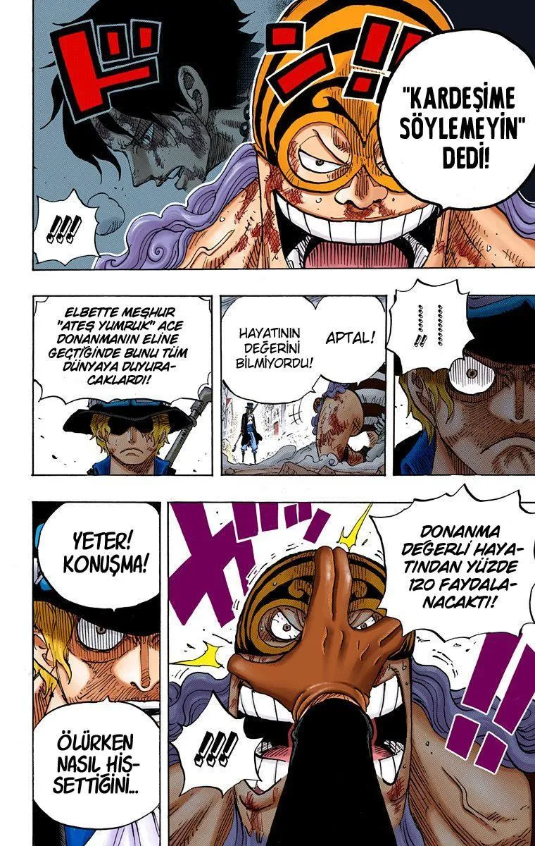 One Piece [Renkli] - Sayfa 5