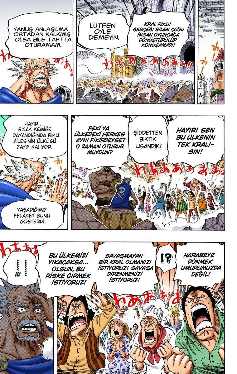 One Piece [Renkli] - Sayfa 12