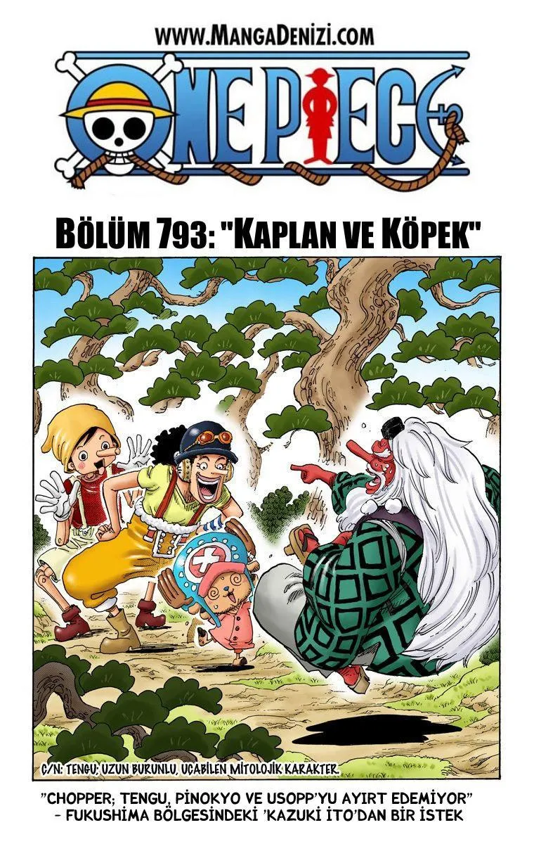 One Piece [Renkli] - Sayfa 2