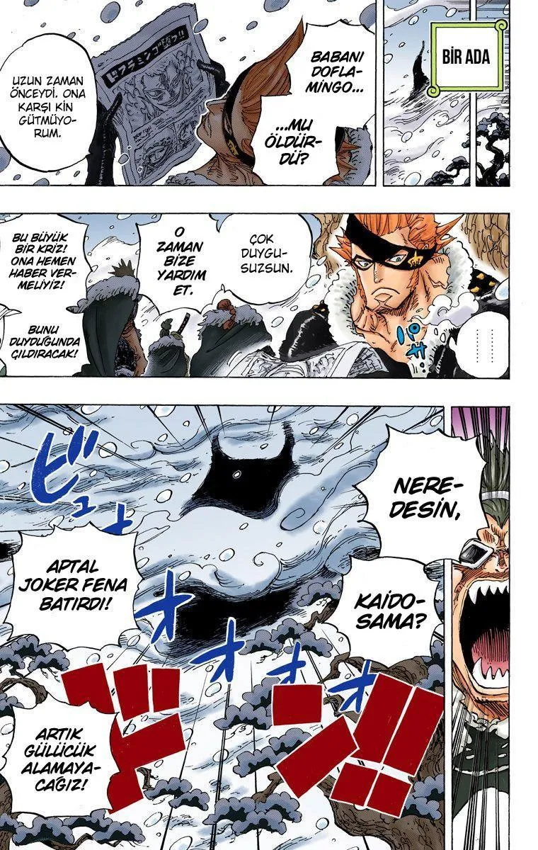 One Piece [Renkli] - Sayfa 11