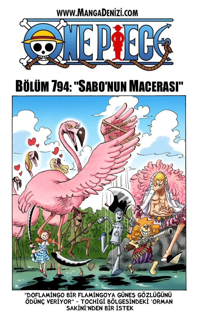 One Piece [Renkli] - Sayfa 2