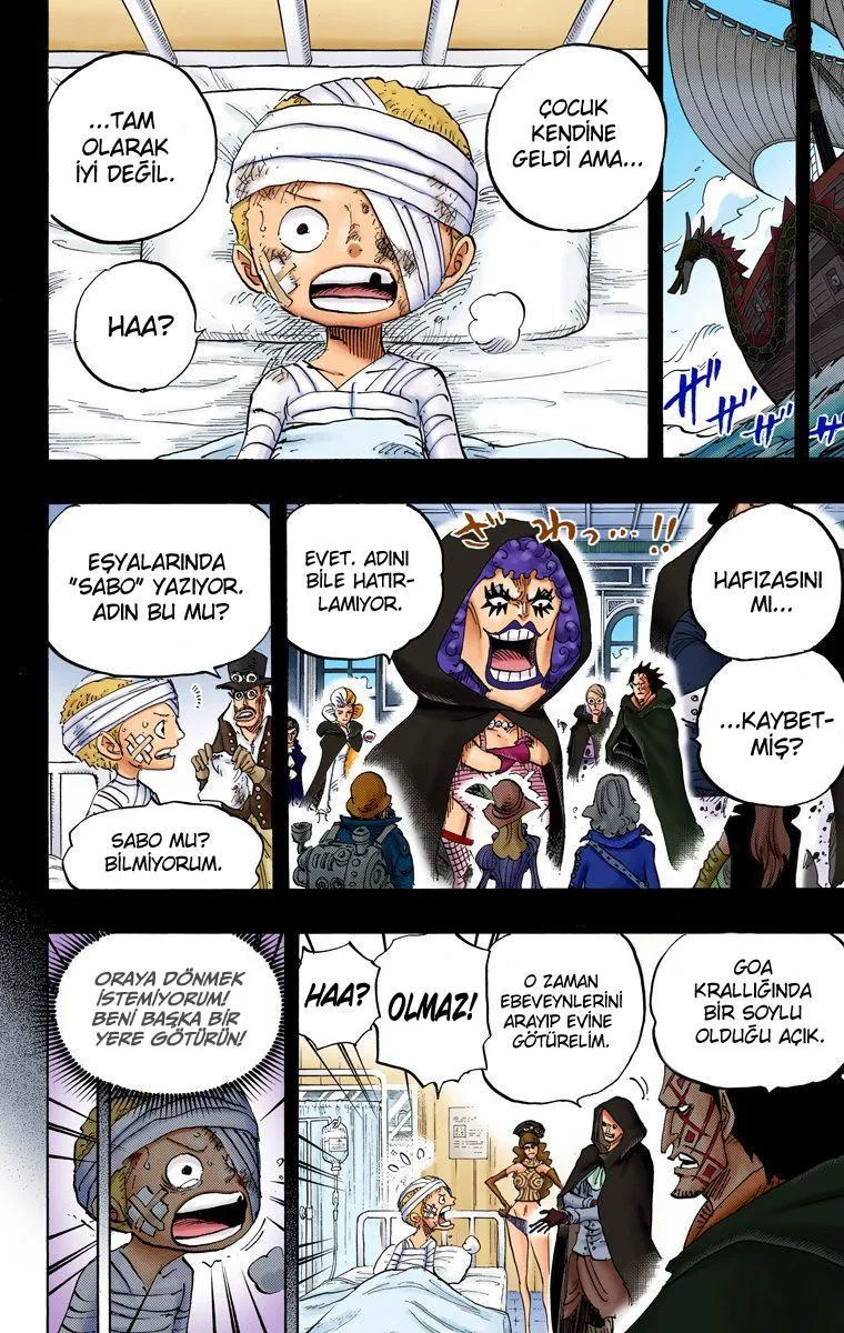 One Piece [Renkli] - Sayfa 7