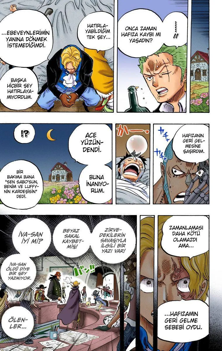 One Piece [Renkli] - Sayfa 8