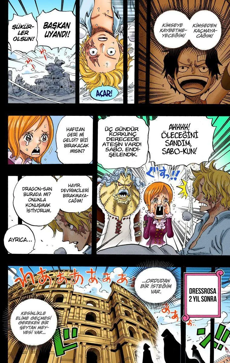One Piece [Renkli] - Sayfa 11