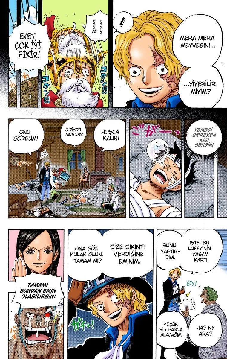 One Piece [Renkli] - Sayfa 15