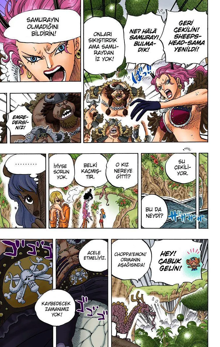 One Piece [Renkli] - Sayfa 10