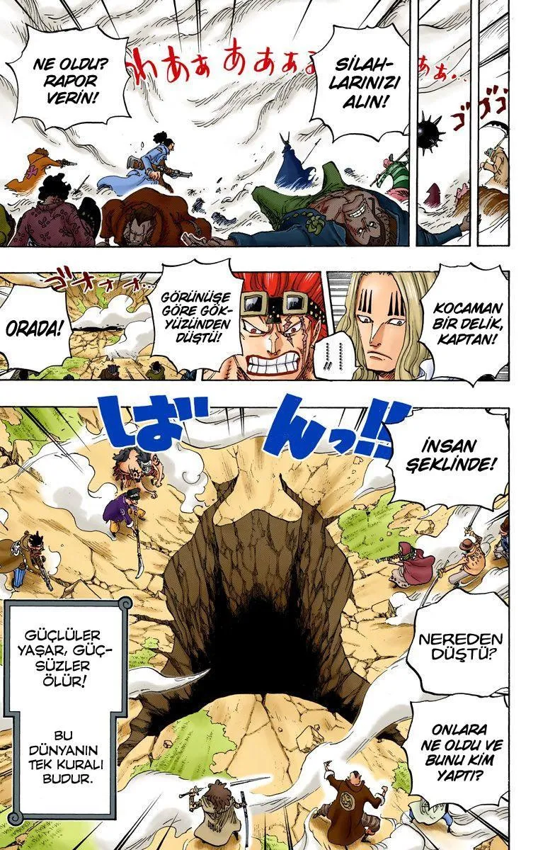 One Piece [Renkli] - Sayfa 12