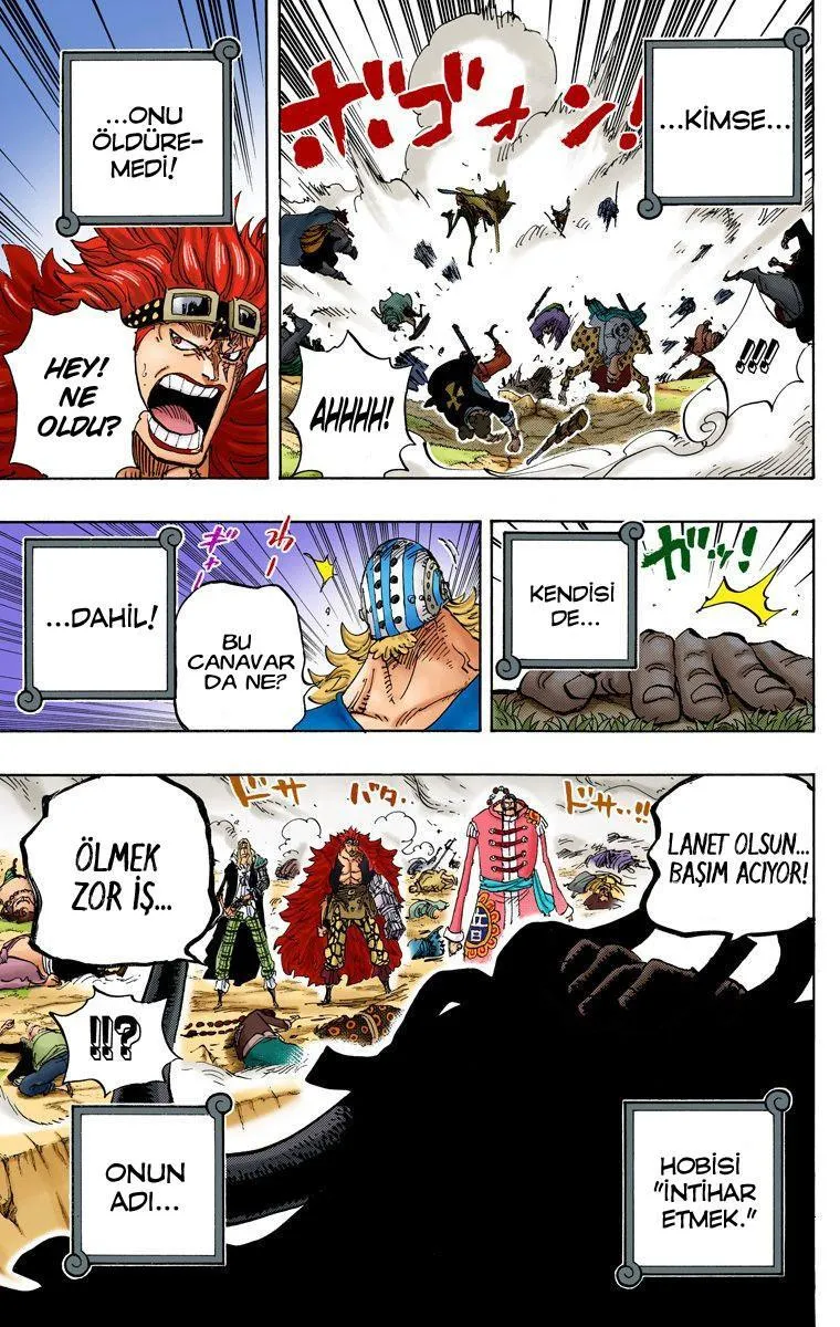 One Piece [Renkli] - Sayfa 16