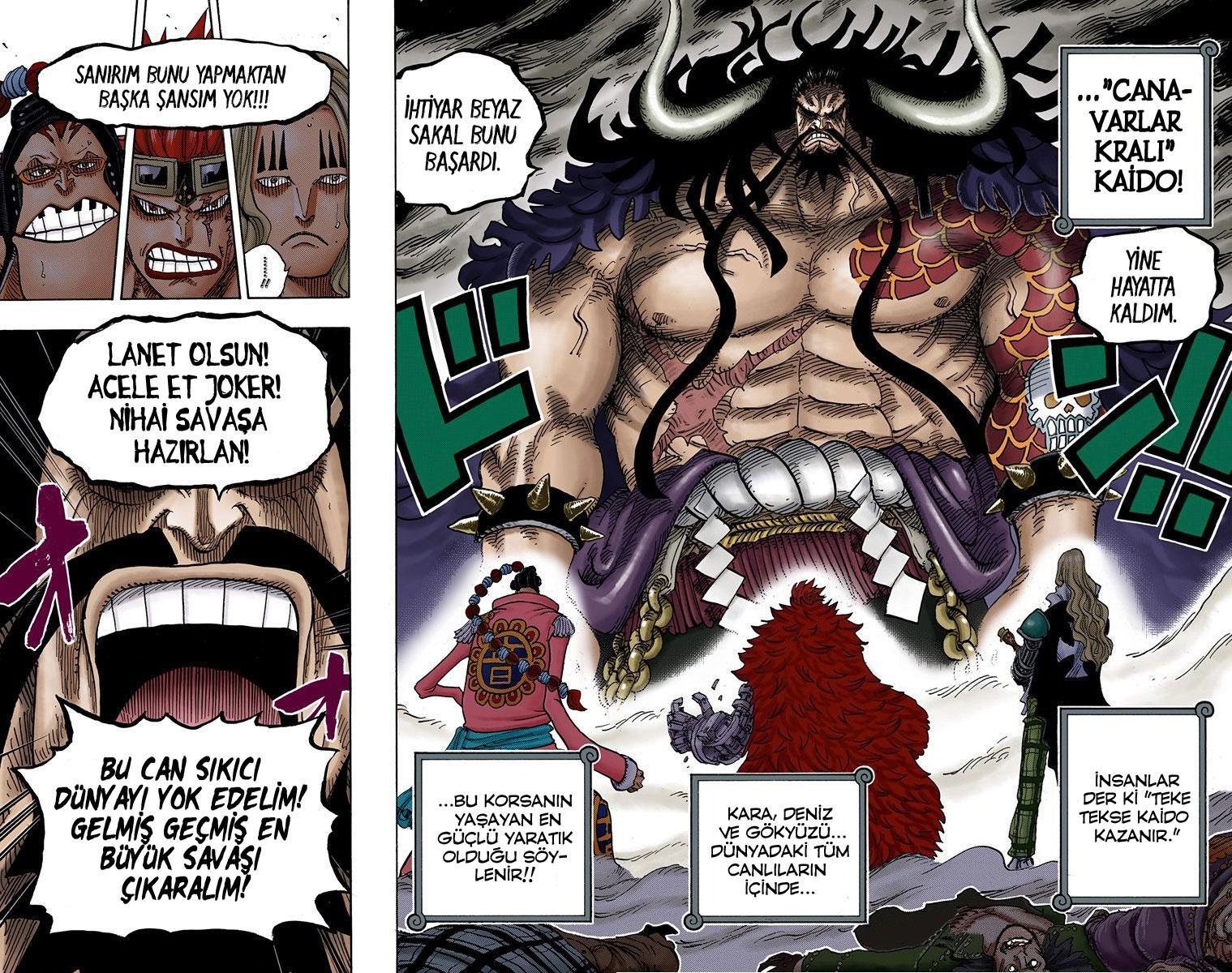 One Piece [Renkli] mangasının 795 bölümünün 17. sayfasını okuyorsunuz.