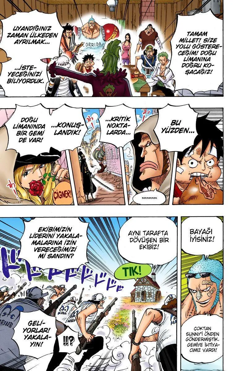 One Piece [Renkli] - Sayfa 17