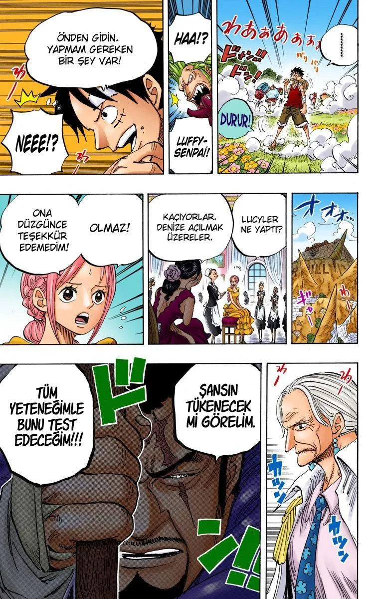 One Piece [Renkli] - Sayfa 19