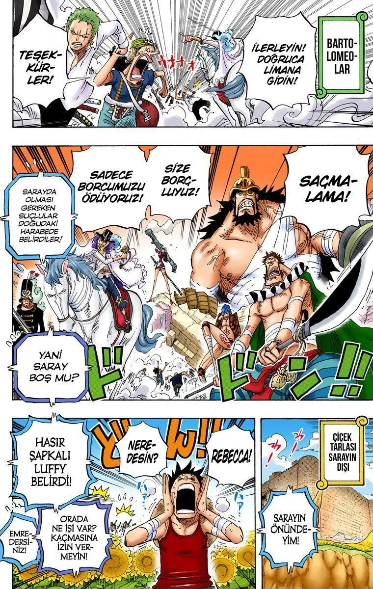 One Piece [Renkli] - Sayfa 5