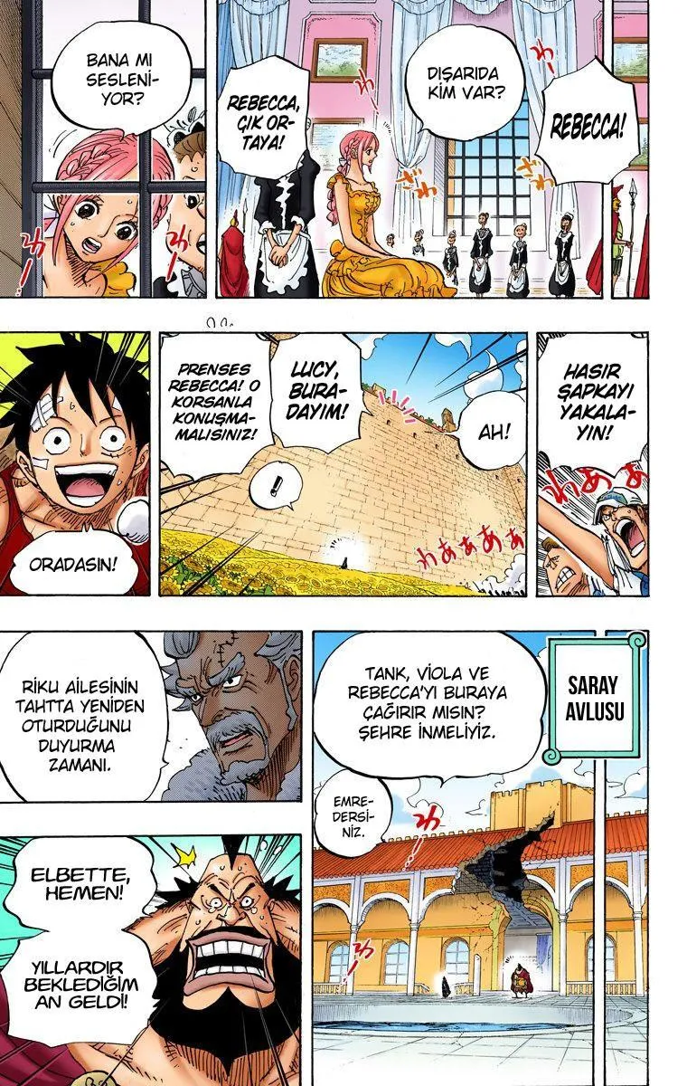 One Piece [Renkli] - Sayfa 6