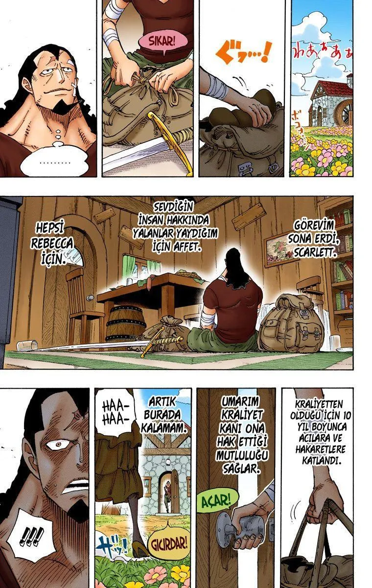 One Piece [Renkli] - Sayfa 14