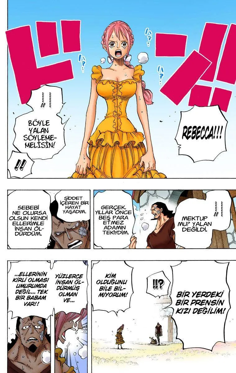 One Piece [Renkli] - Sayfa 15