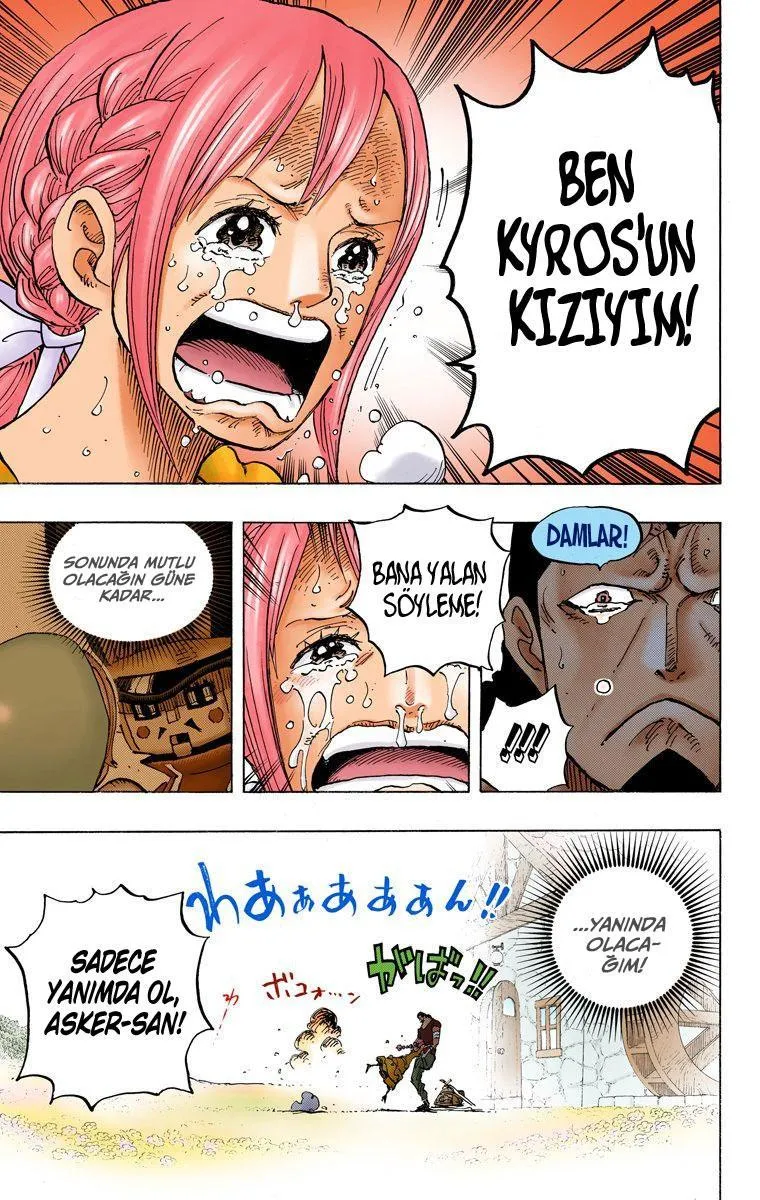 One Piece [Renkli] - Sayfa 16