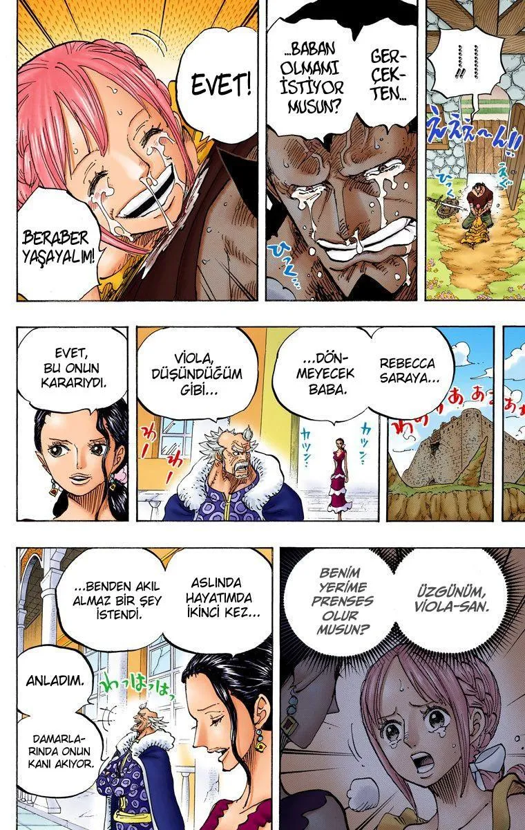 One Piece [Renkli] - Sayfa 17