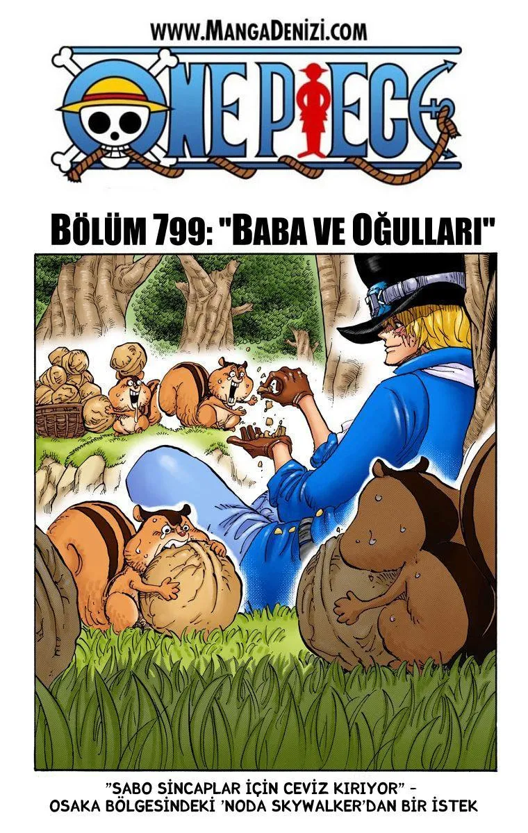 One Piece [Renkli] - Sayfa 2