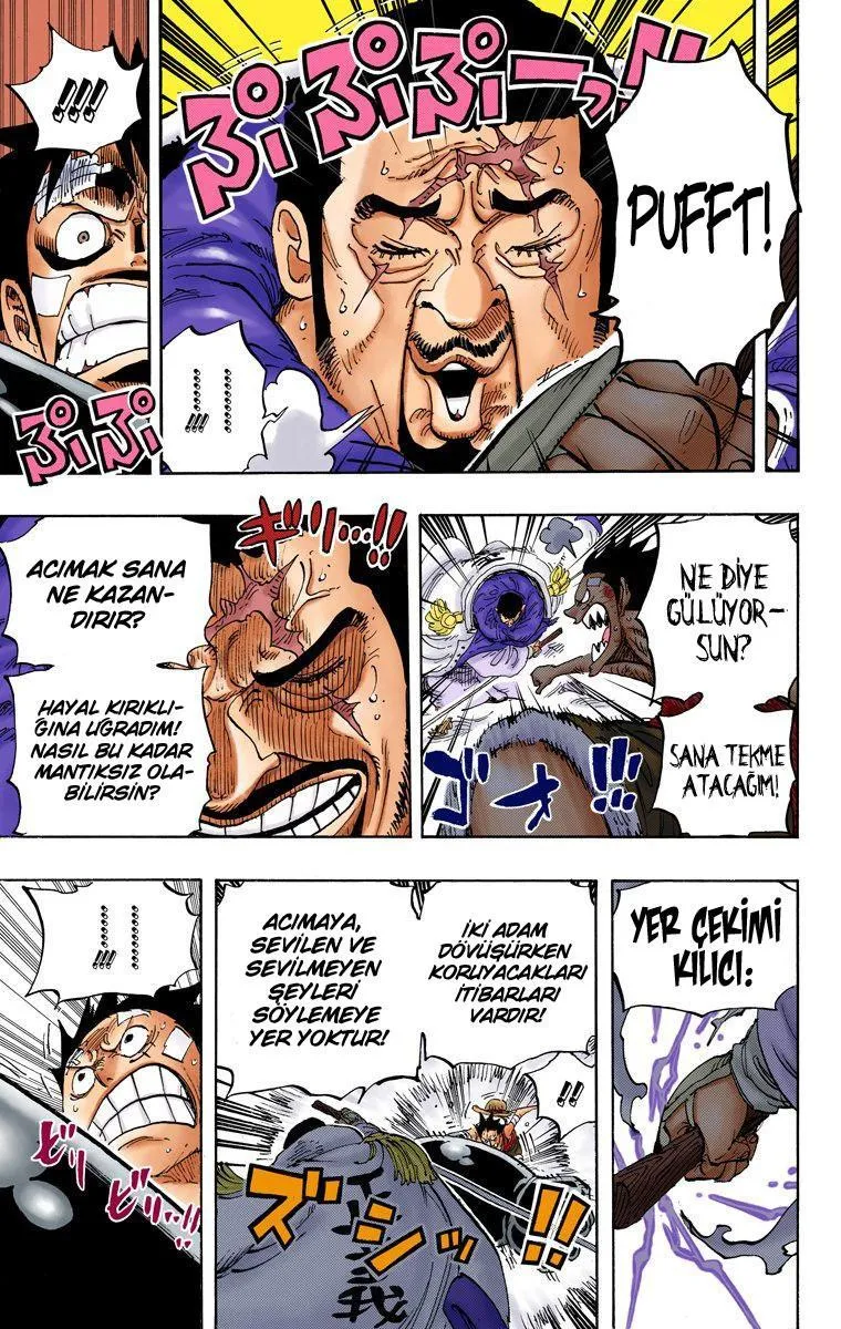 One Piece [Renkli] - Sayfa 5