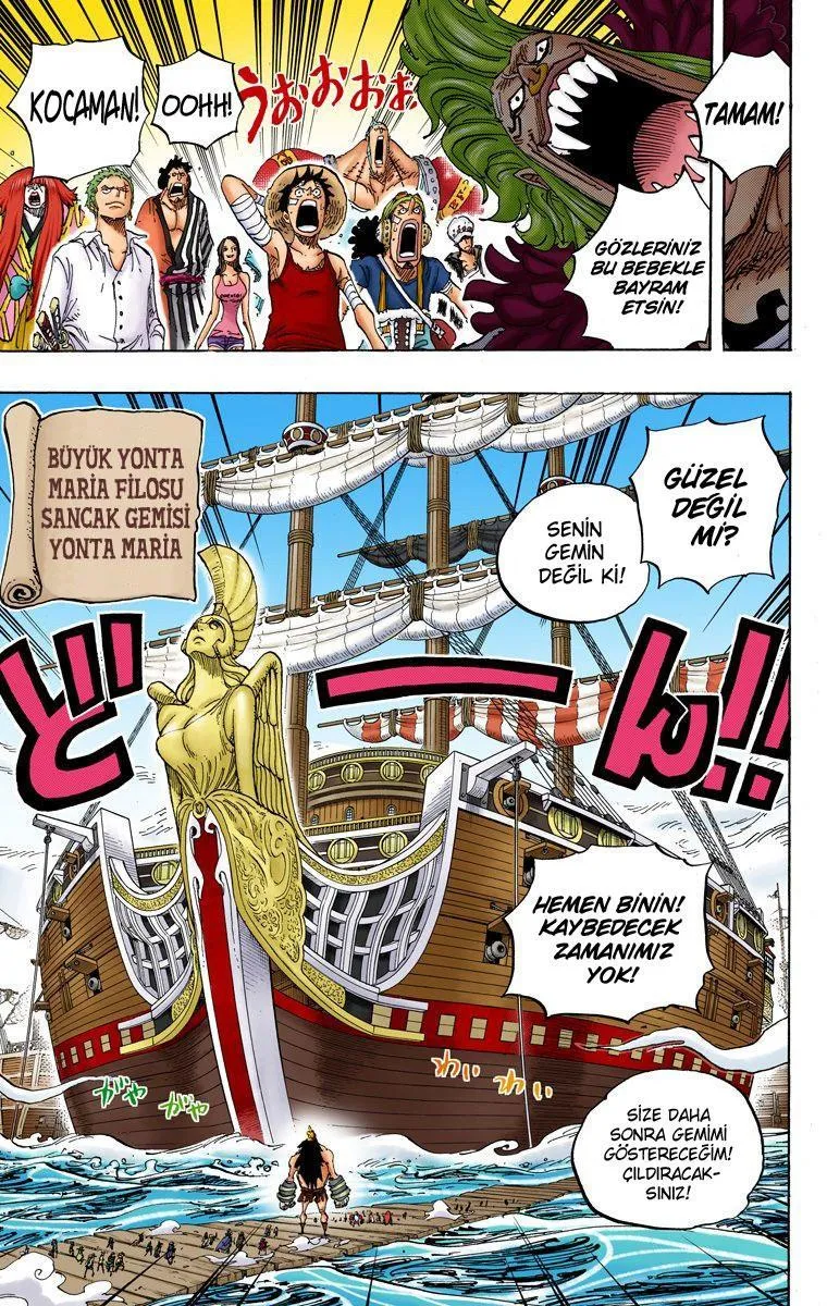 One Piece [Renkli] - Sayfa 11