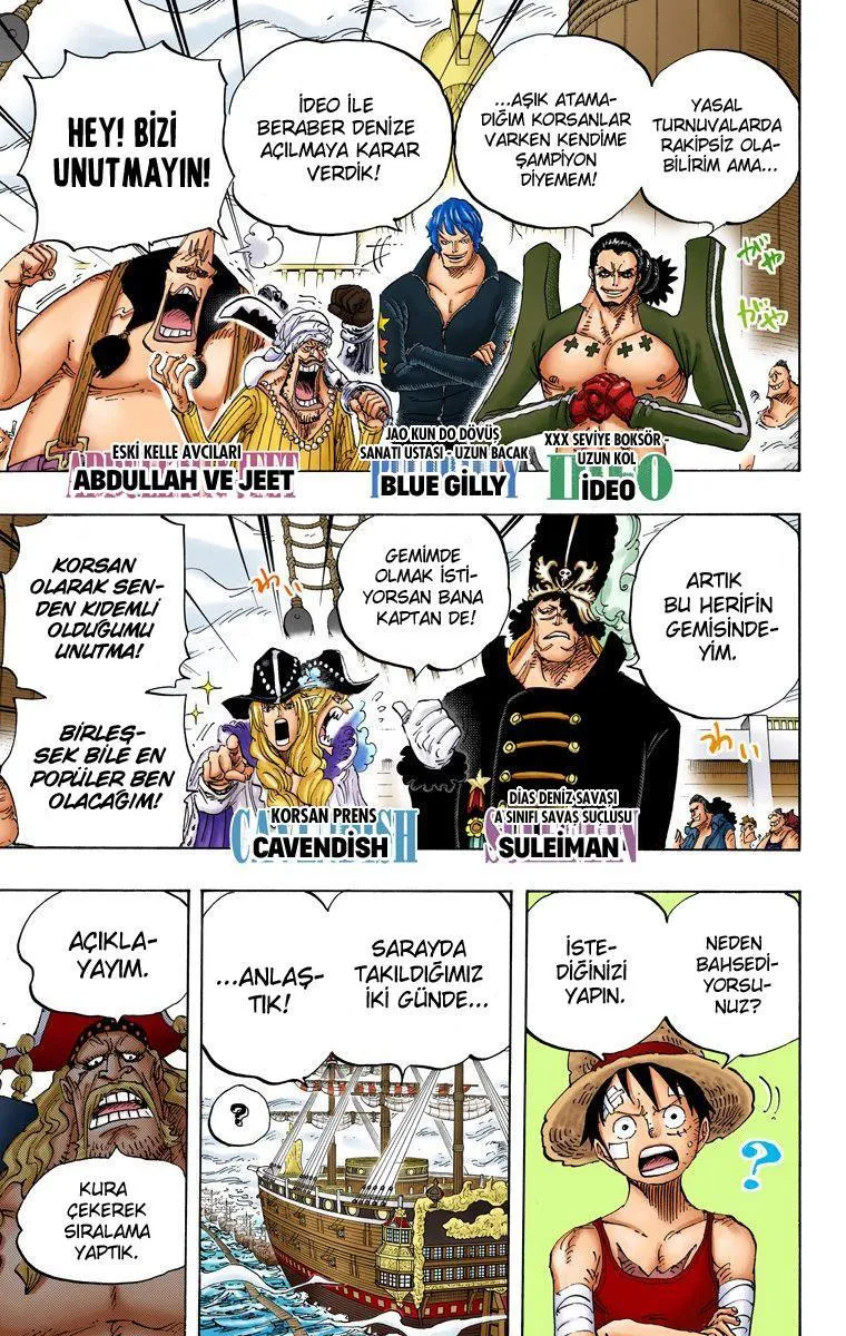One Piece [Renkli] - Sayfa 13