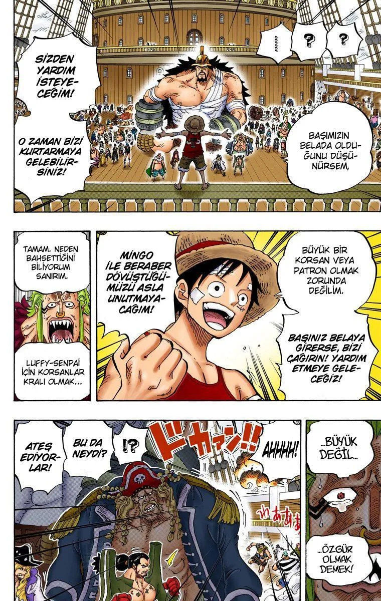 One Piece [Renkli] - Sayfa 6