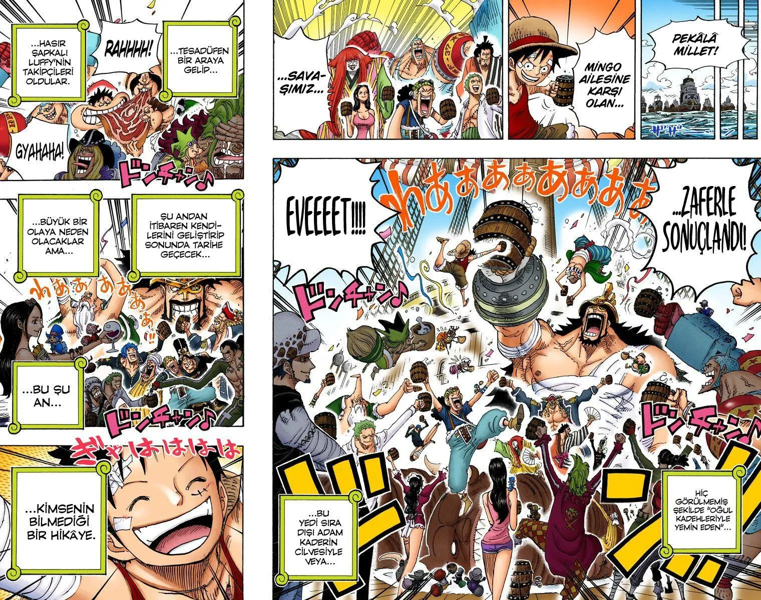 One Piece [Renkli] - Sayfa 14