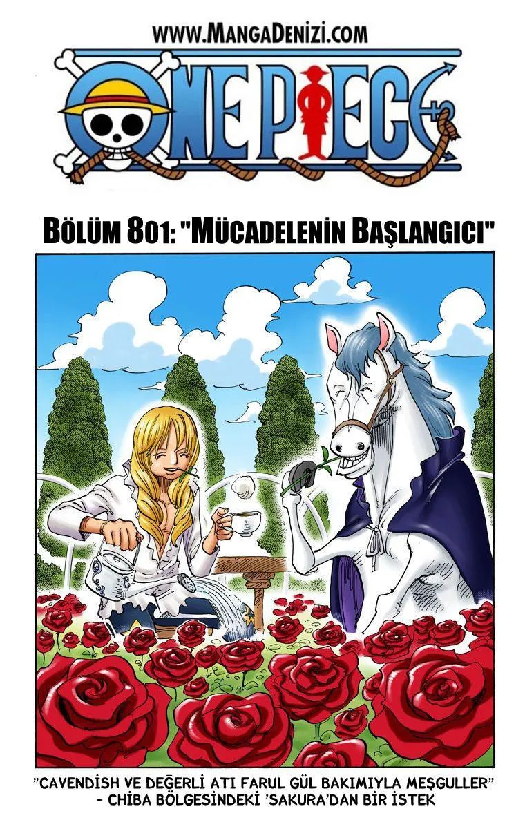 One Piece [Renkli] - Sayfa 2