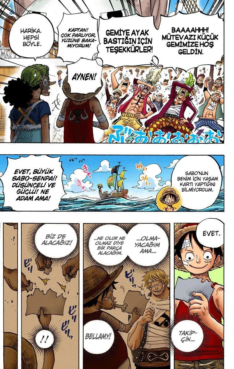 One Piece [Renkli] - Sayfa 13
