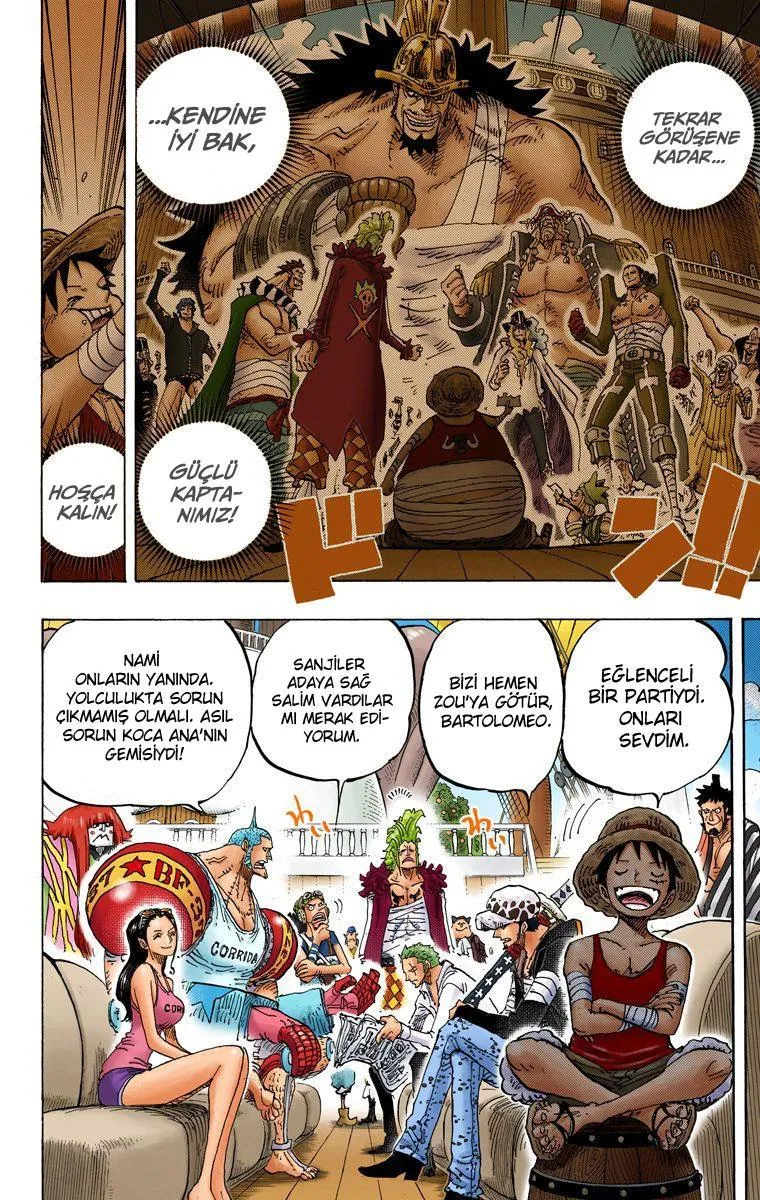 One Piece [Renkli] - Sayfa 14