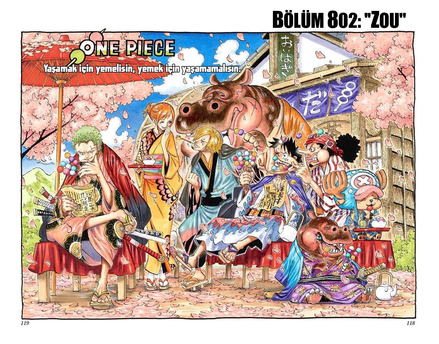 One Piece [Renkli] - Sayfa 2