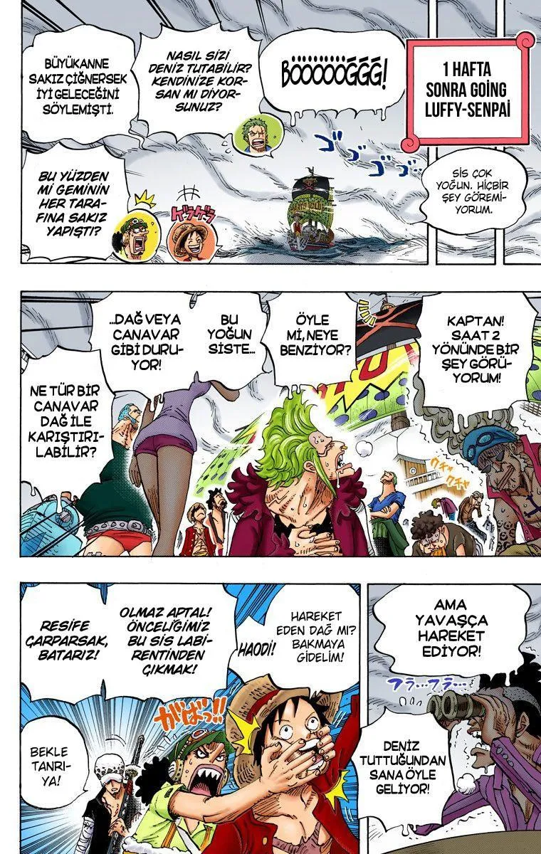 One Piece [Renkli] - Sayfa 12