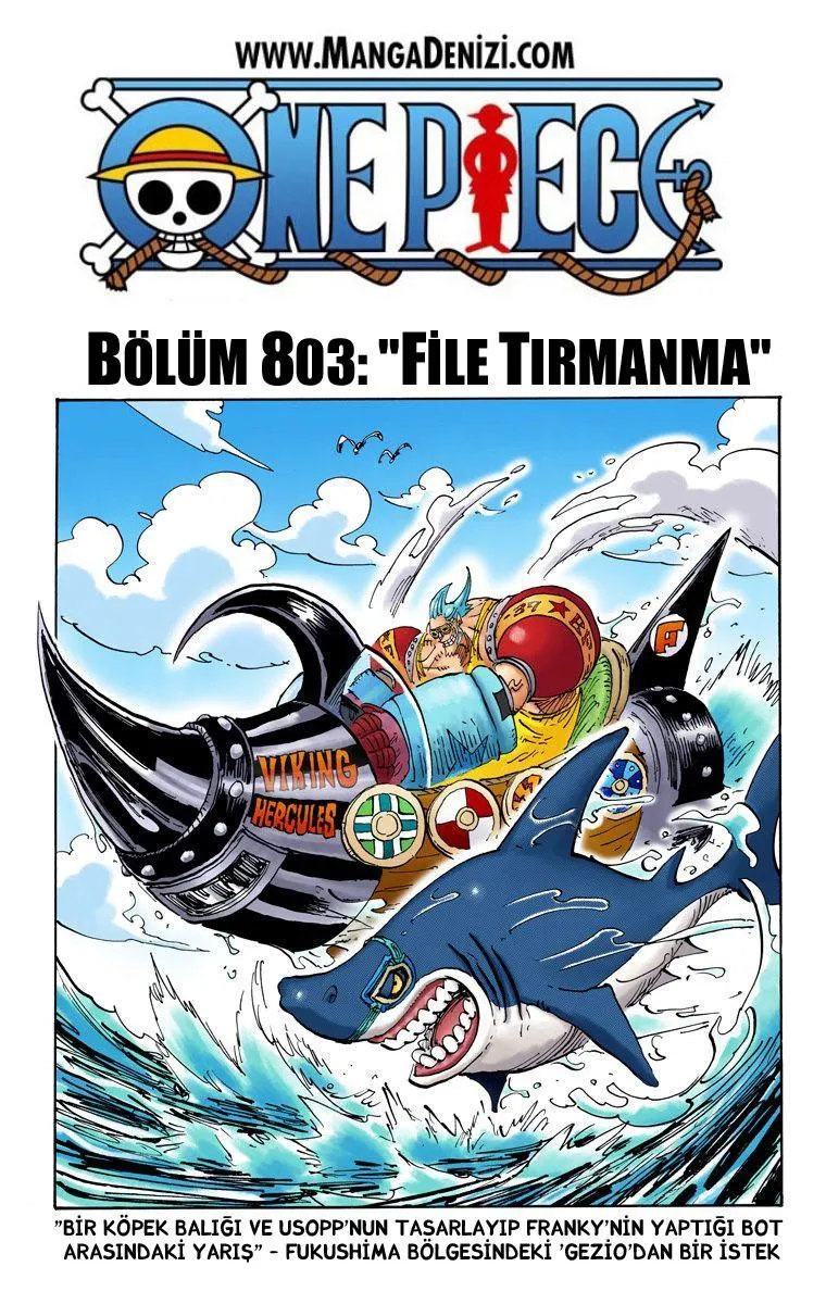 One Piece [Renkli] - Sayfa 2