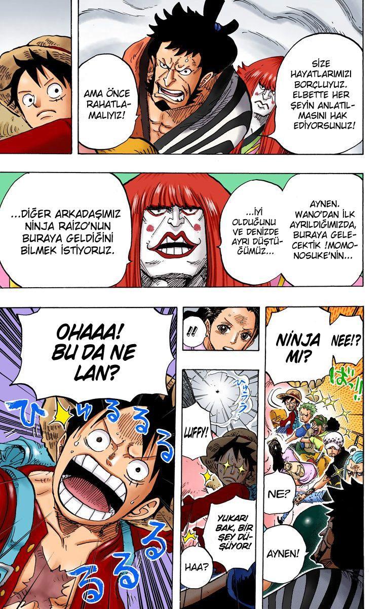 One Piece [Renkli] mangasının 803 bölümünün 14. sayfasını okuyorsunuz.