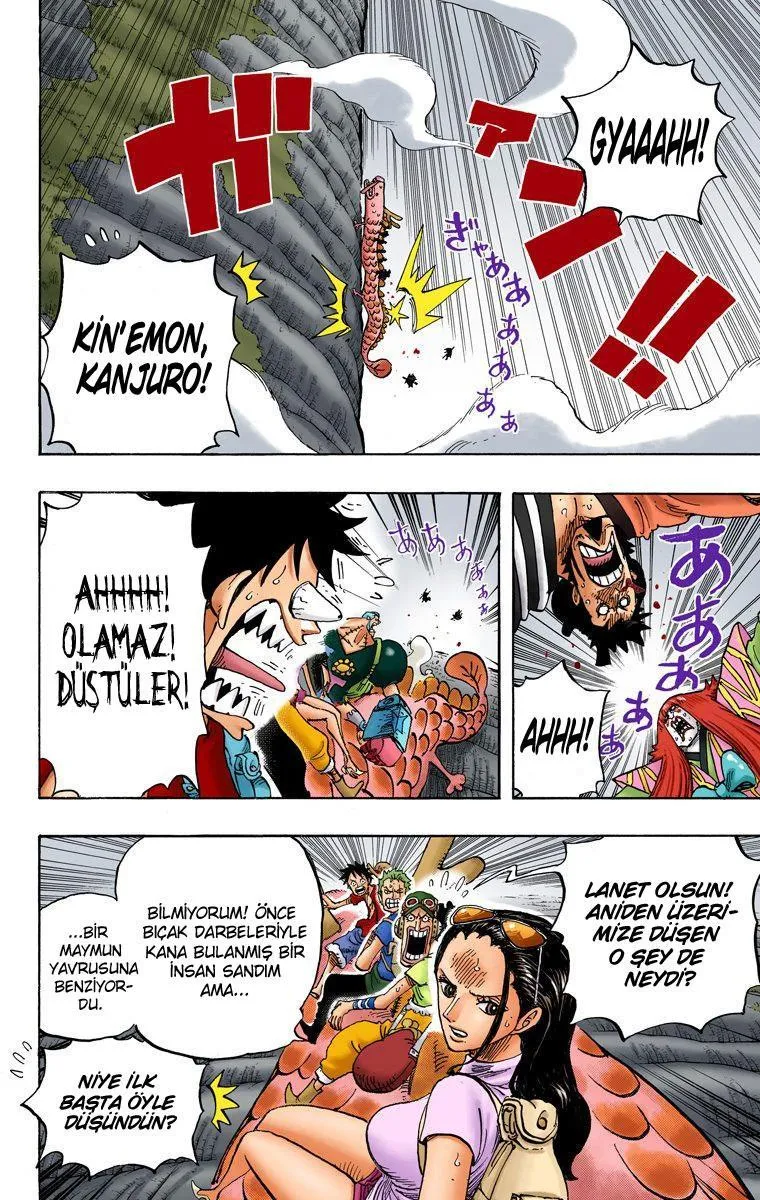 One Piece [Renkli] - Sayfa 5