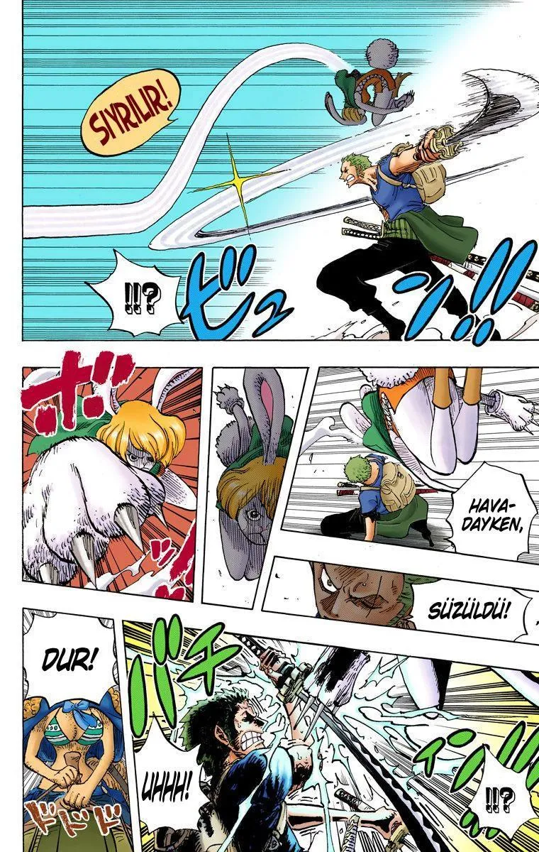 One Piece [Renkli] - Sayfa 16