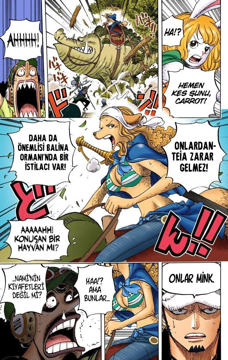 One Piece [Renkli] - Sayfa 17