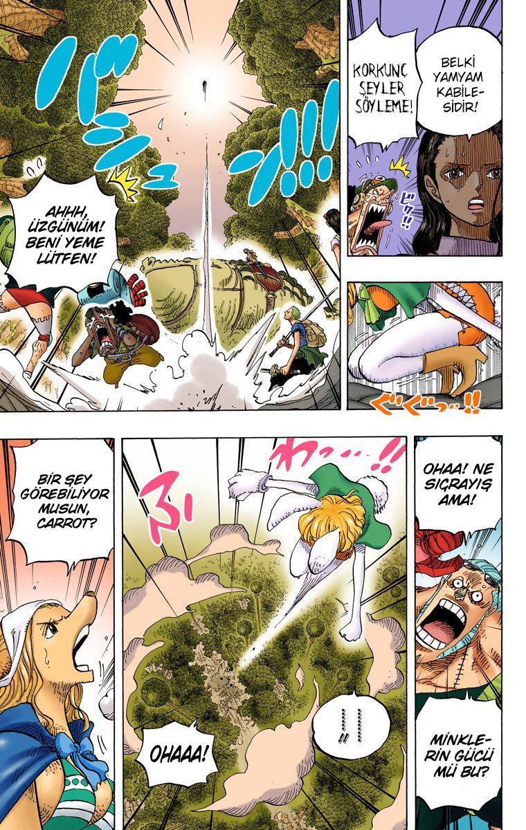 One Piece [Renkli] mangasının 805 bölümünün 4. sayfasını okuyorsunuz.