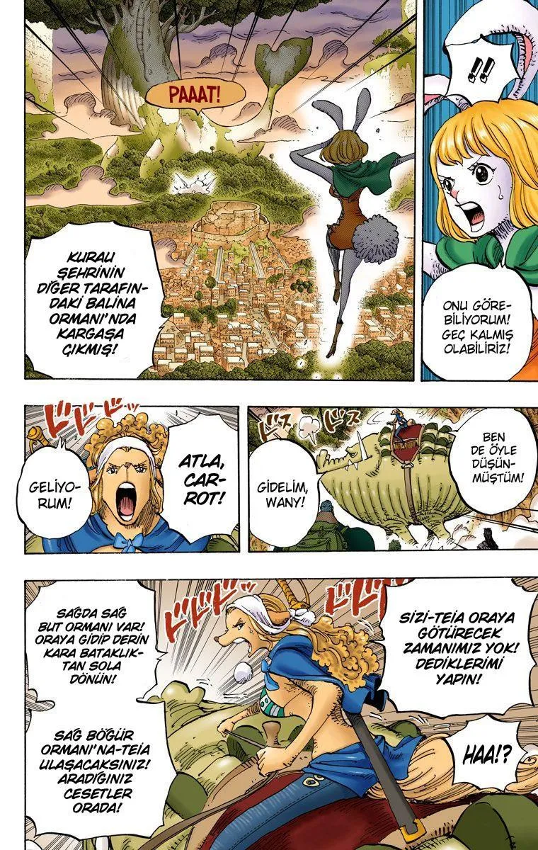 One Piece [Renkli] - Sayfa 5