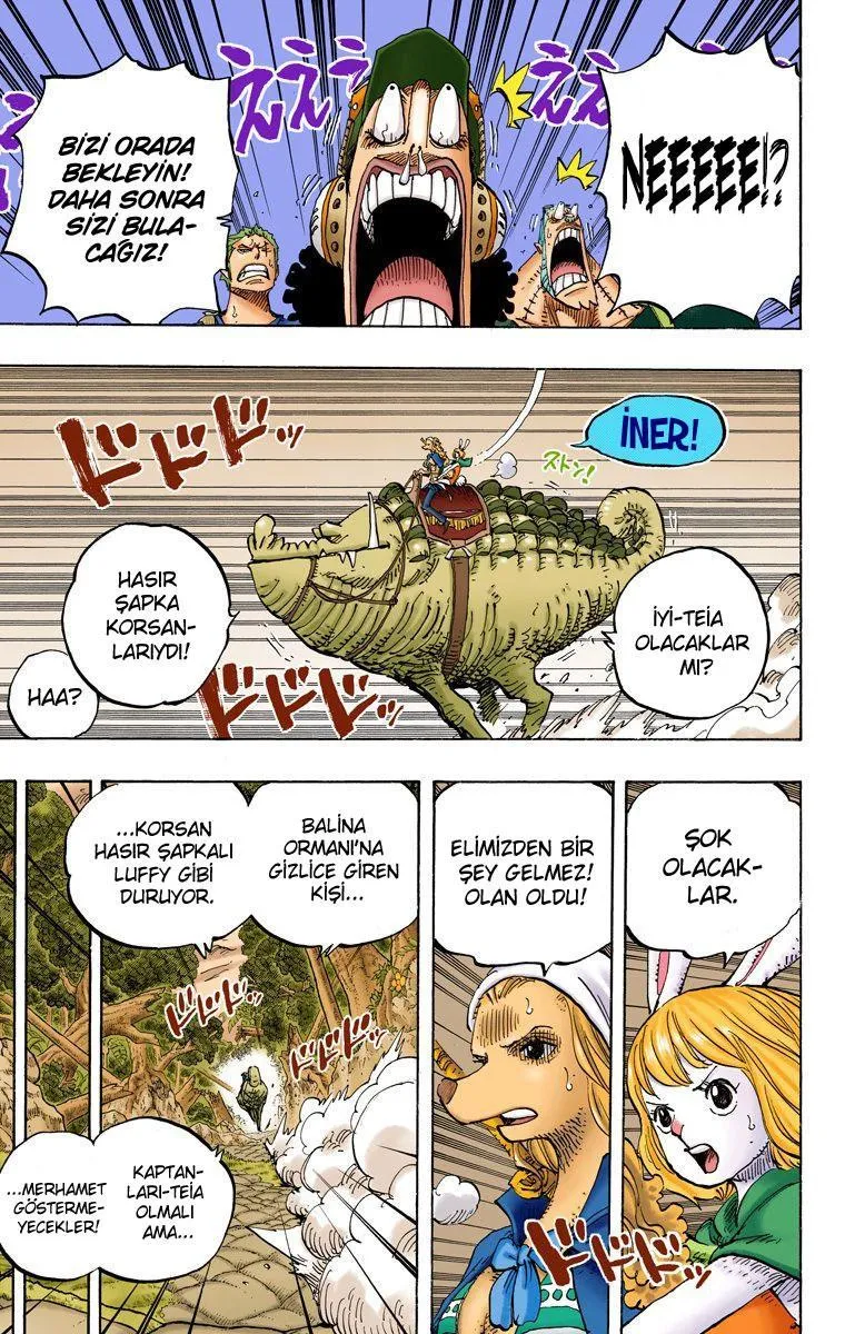 One Piece [Renkli] - Sayfa 6