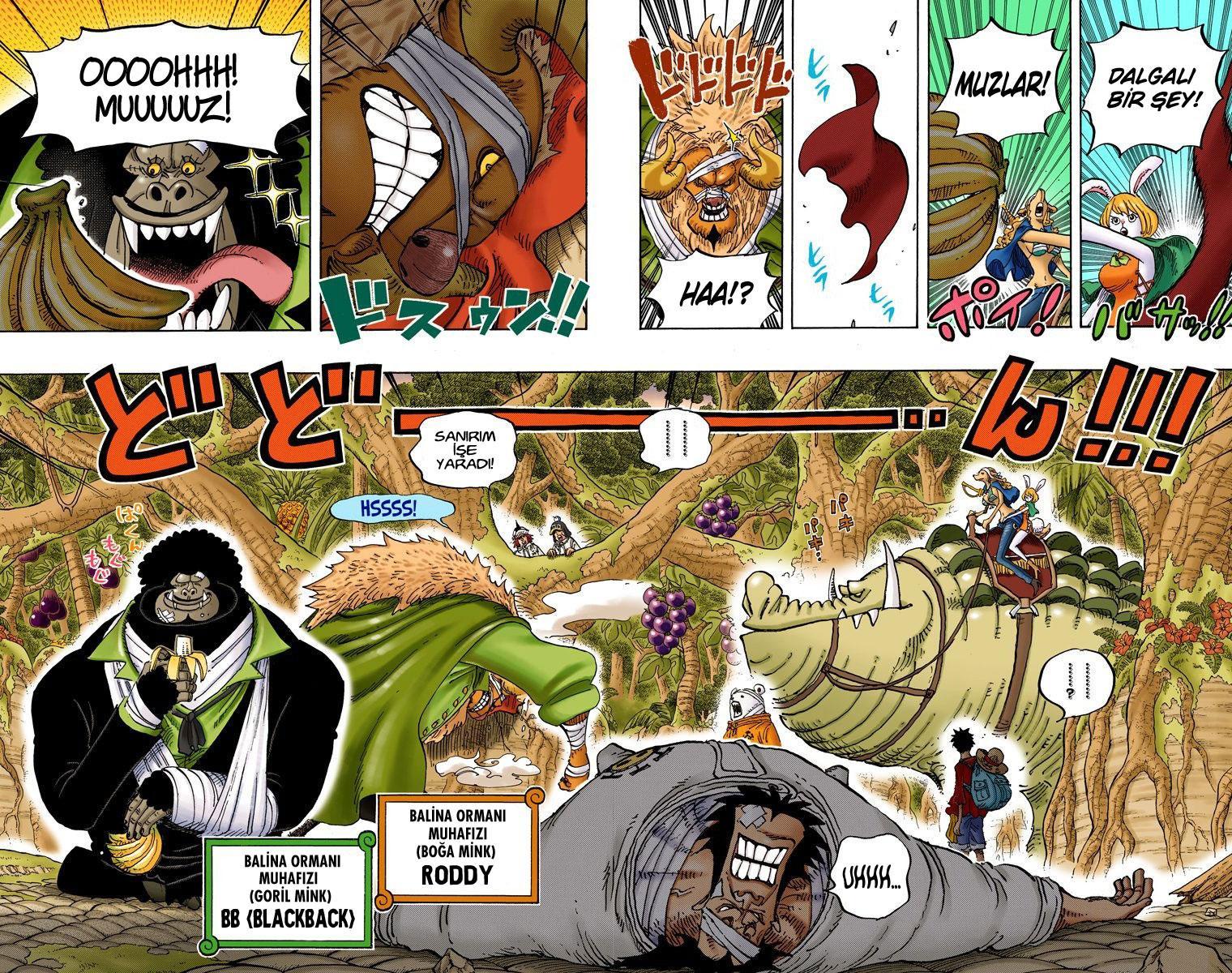 One Piece [Renkli] mangasının 805 bölümünün 11. sayfasını okuyorsunuz.