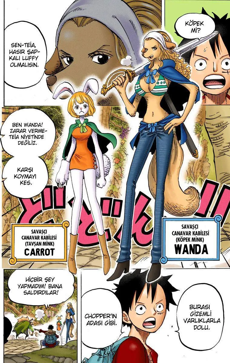 One Piece [Renkli] - Sayfa 12