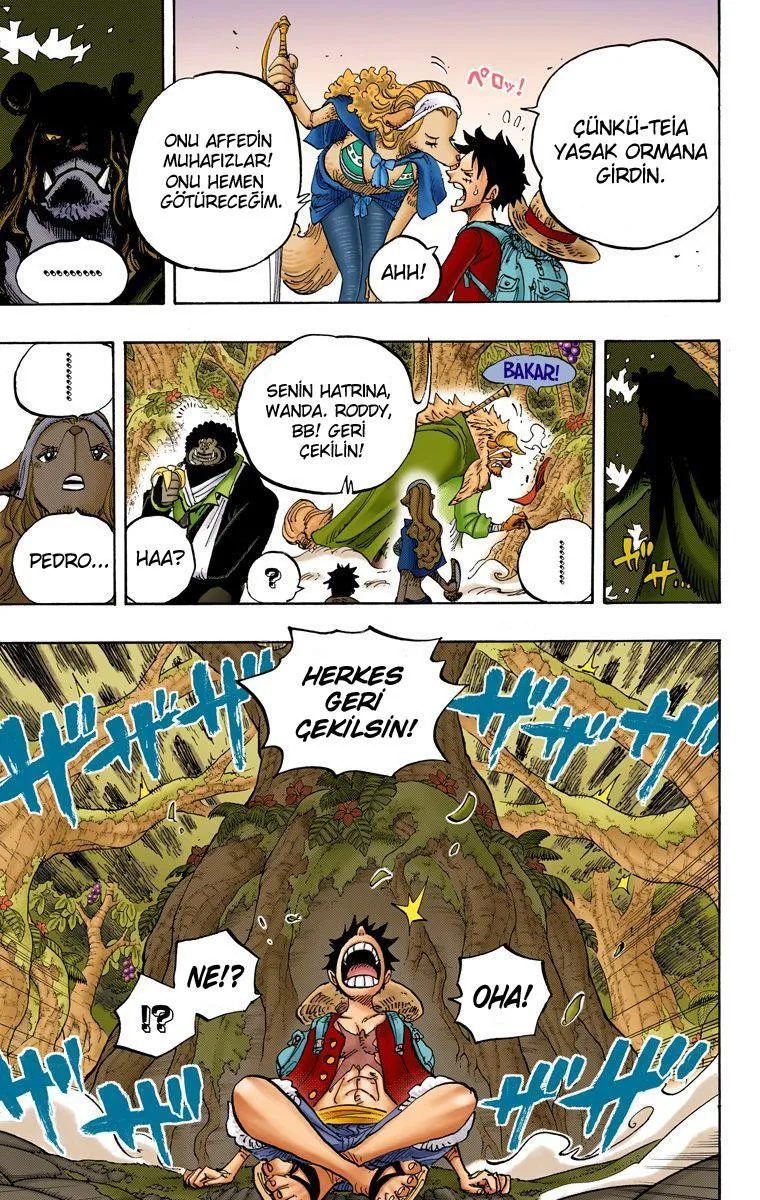 One Piece [Renkli] - Sayfa 13