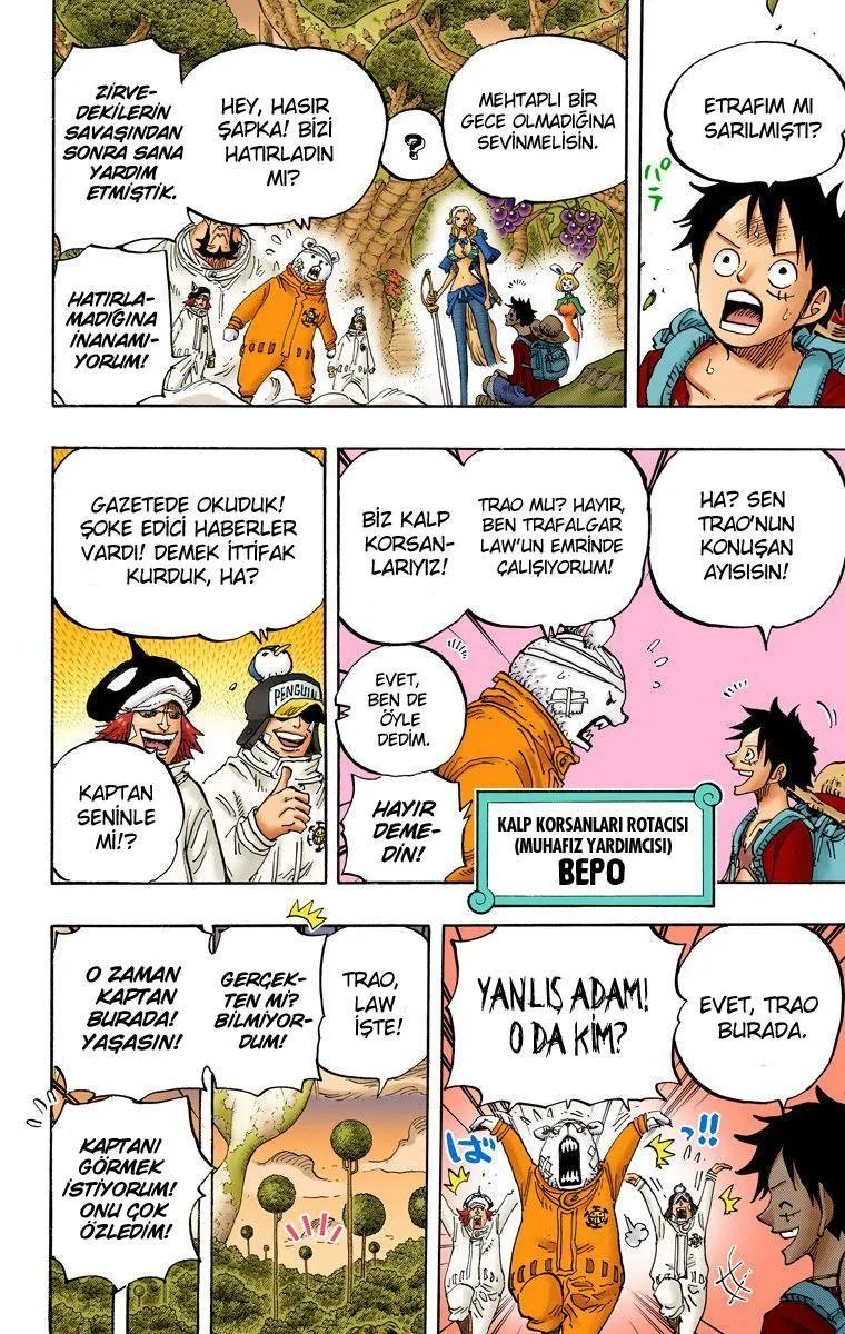 One Piece [Renkli] - Sayfa 14