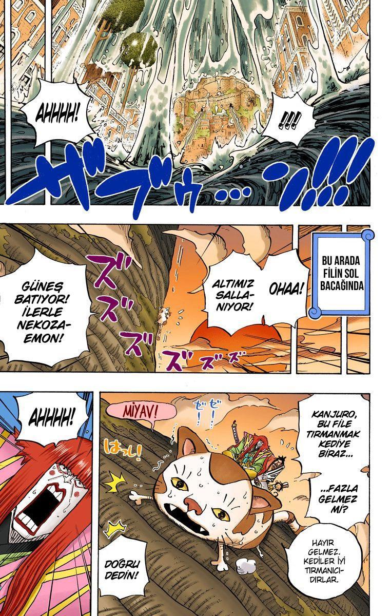 One Piece [Renkli] mangasının 806 bölümünün 4. sayfasını okuyorsunuz.